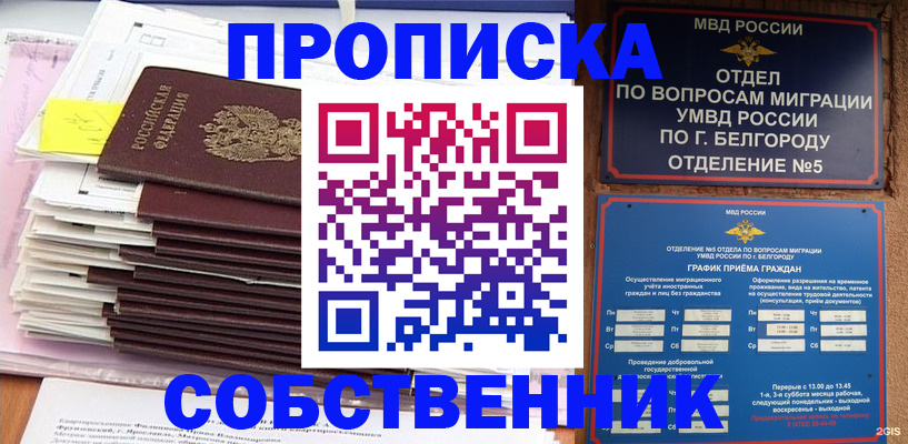 прописка законно в Кашине